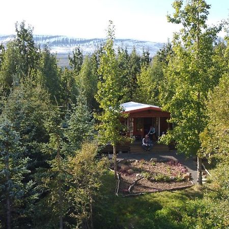 Bakkakot 1 - Cozy Cabins In The Woods Akureyri Exteriör bild