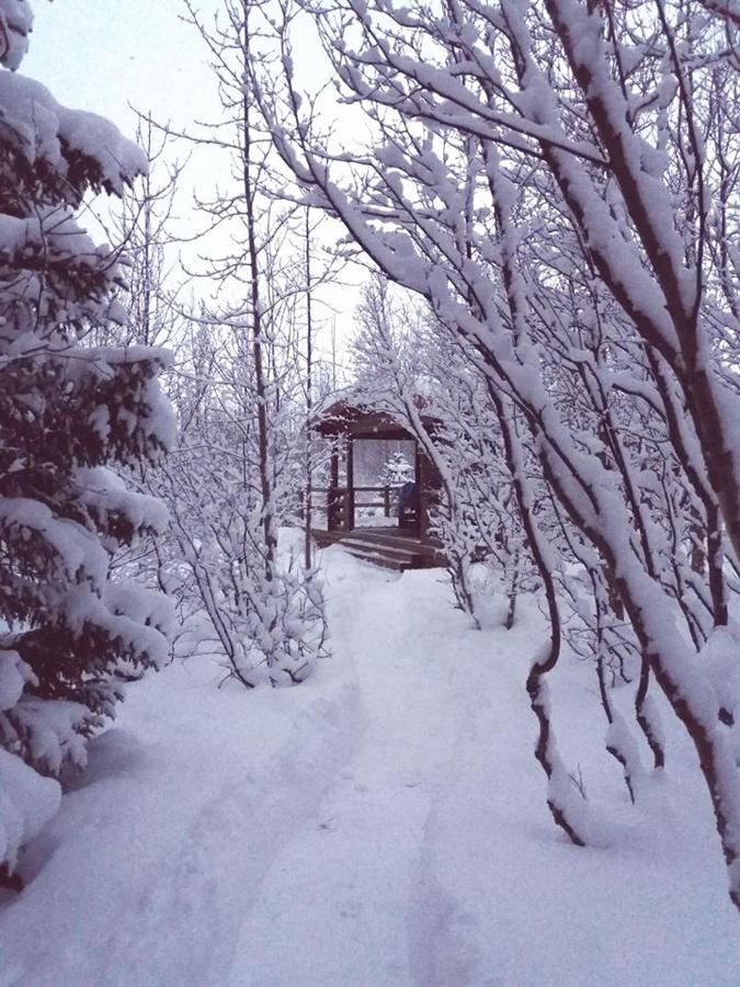 Bakkakot 1 - Cozy Cabins In The Woods Akureyri Exteriör bild