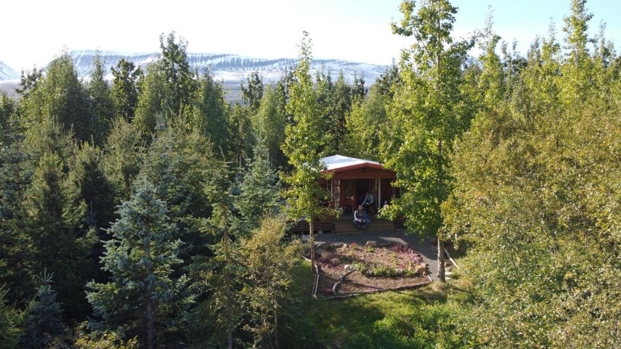 Bakkakot 1 - Cozy Cabins In The Woods Akureyri Exteriör bild