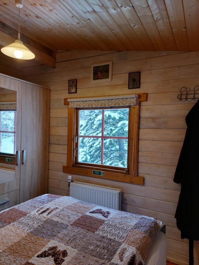 Bakkakot 1 - Cozy Cabins In The Woods Akureyri Exteriör bild