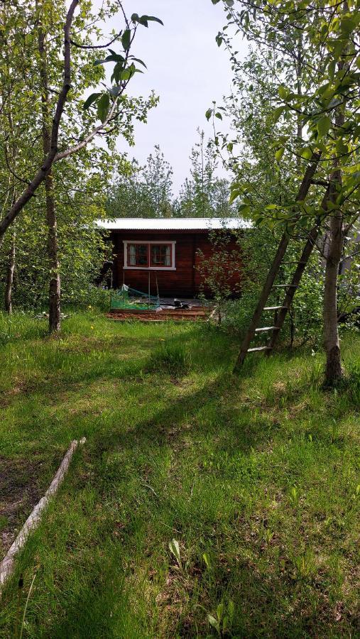 Bakkakot 1 - Cozy Cabins In The Woods Akureyri Exteriör bild